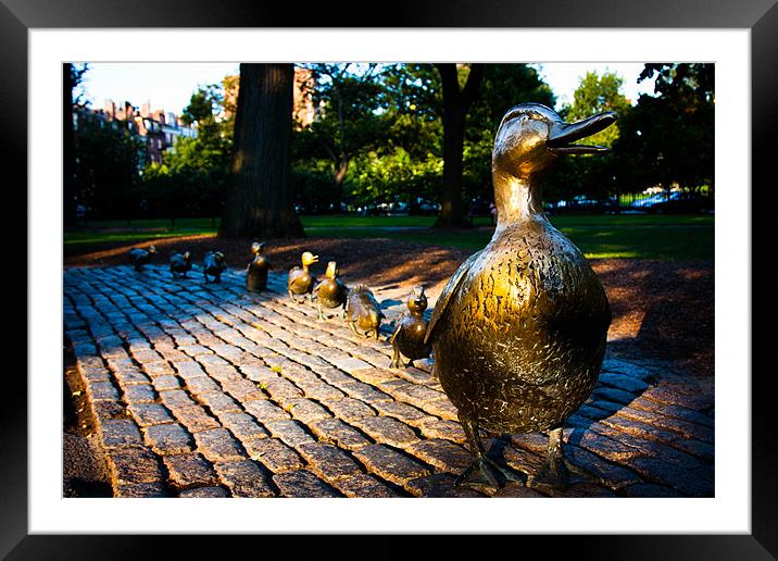 Make Way For Ducklings, Boston Common Framed Mounted Print by Weng Tan