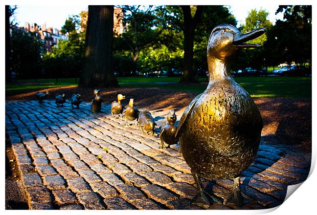 Make Way For Ducklings, Boston Common Print by Weng Tan