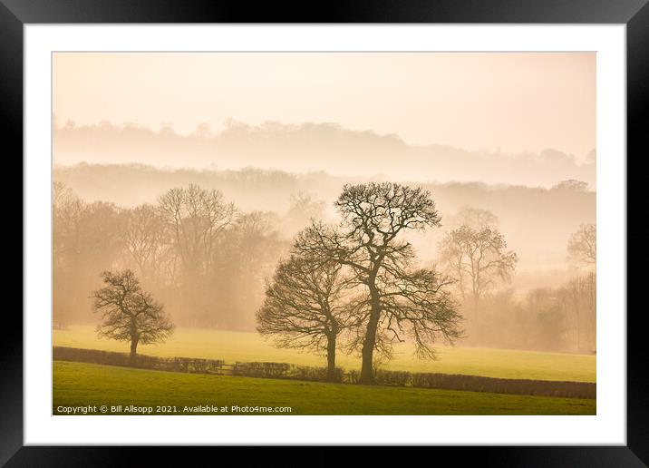 Misty woodlands. Framed Mounted Print by Bill Allsopp