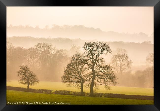 Misty woodlands. Framed Print by Bill Allsopp