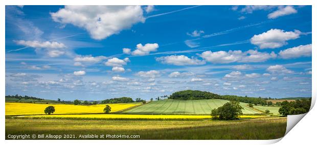 Leicestershire panorama. Print by Bill Allsopp