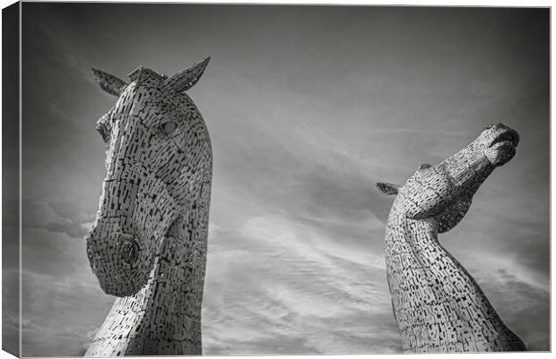 Kelpies in Black and White Canvas Print by Duncan Loraine