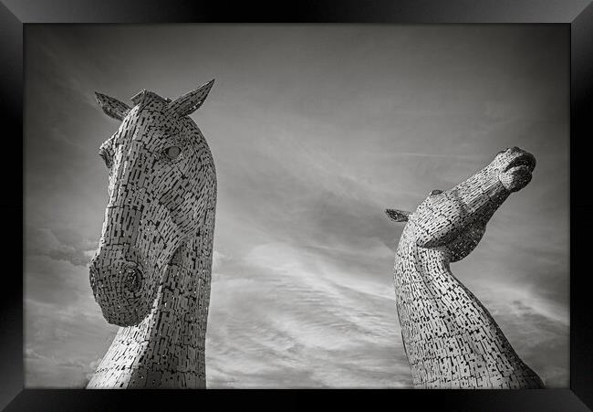 Kelpies in Black and White Framed Print by Duncan Loraine