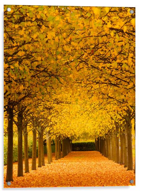 An avenue of trees at autumn. Acrylic by Tommy Dickson
