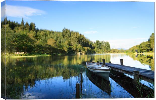 Loch Ard, Jetty, Boat and boathouse. Canvas Print by Tommy Dickson