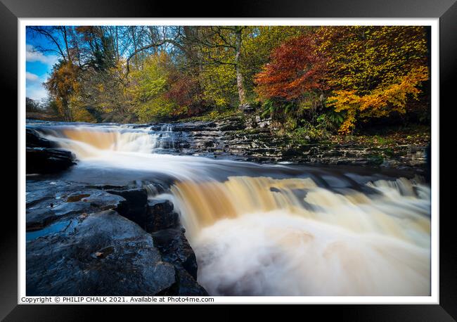 Stainforth foss  waterfall near Settle in the Yorkshire dales 284  Framed Print by PHILIP CHALK