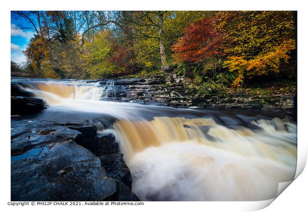 Stainforth foss  waterfall near Settle in the Yorkshire dales 284  Print by PHILIP CHALK