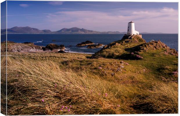 Anglesey lighthouse Canvas Print by Kevin Elias
