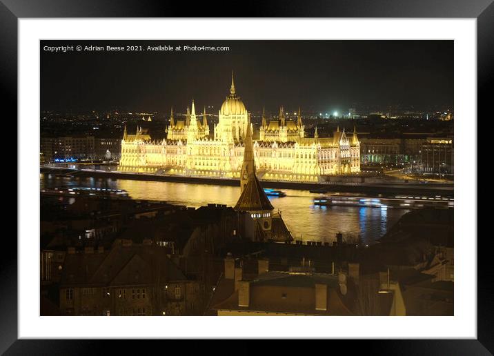Hungarian Parliament lit up at night  Framed Mounted Print by Adrian Beese