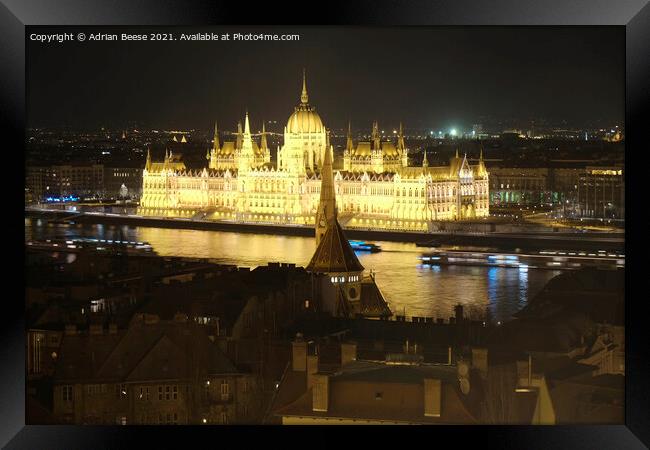Hungarian Parliament lit up at night  Framed Print by Adrian Beese