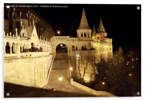 Budapest Royal Palace at night Acrylic by Adrian Beese