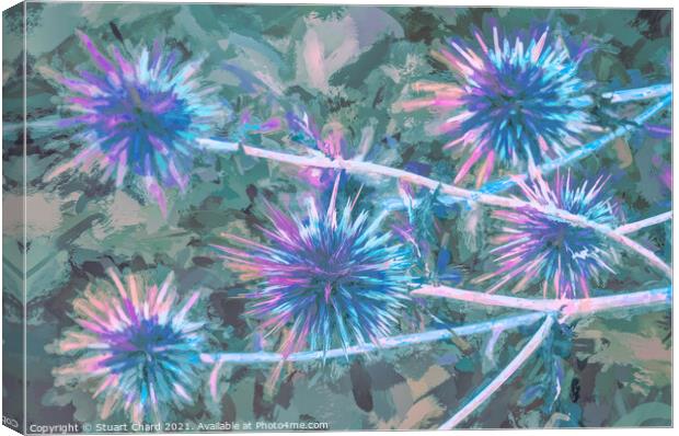 Milk Thistle abstract artwork Canvas Print by Travel and Pixels 