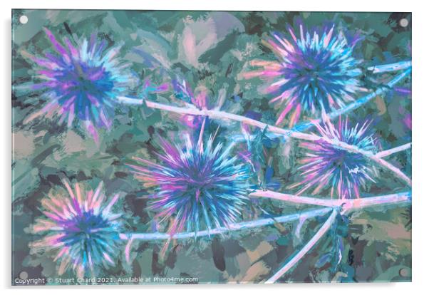 Milk Thistle abstract artwork Acrylic by Travel and Pixels 