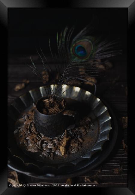 Still life pewter cup with a peacock feather Framed Print by Steven Dijkshoorn