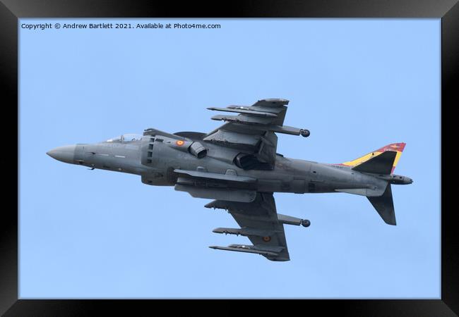 Spanish Navy EAV-8B Harrier II Framed Print by Andrew Bartlett