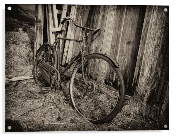 Abandoned bicycle. Acrylic by Tommy Dickson