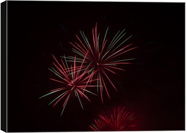 Callendar Park Fireworks Canvas Print by Emma Dickson