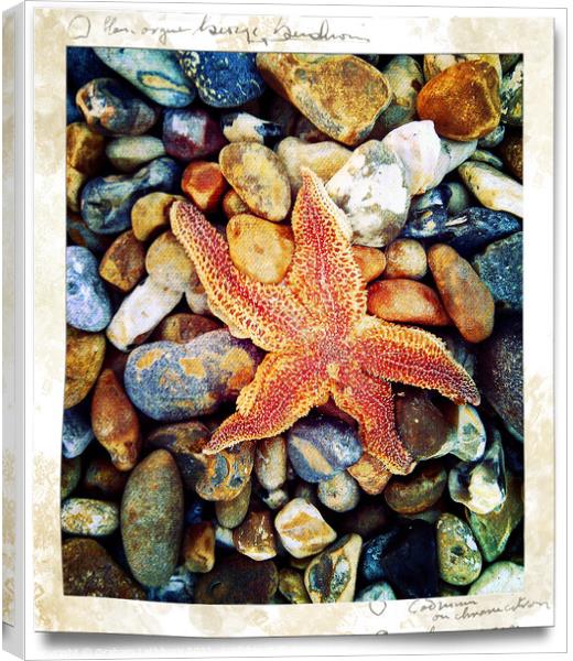 Starfish Brighton Beach Canvas Print by Graham Lathbury