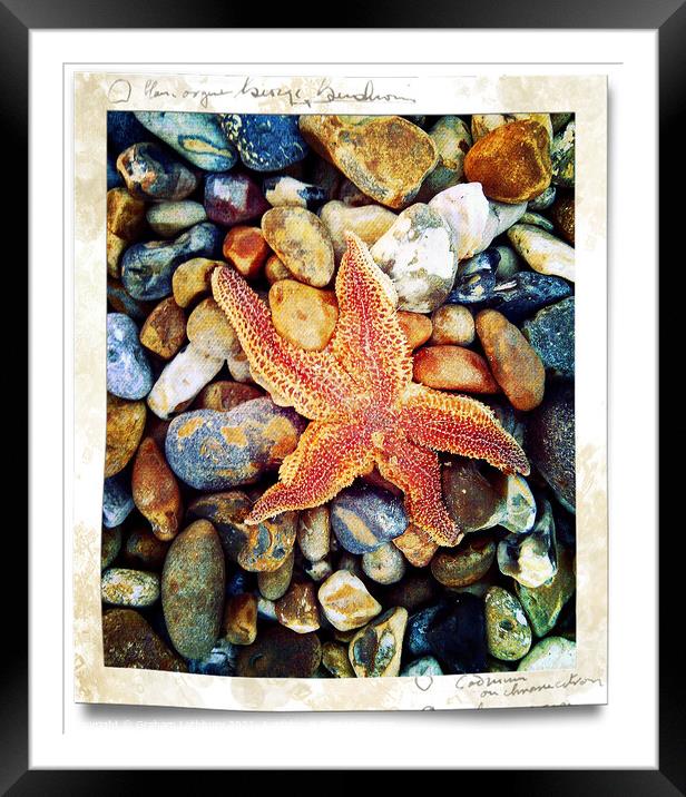 Starfish Brighton Beach Framed Mounted Print by Graham Lathbury