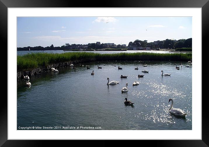 Poole Park Lake Framed Mounted Print by Mike Streeter