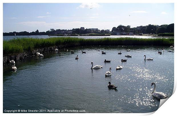 Poole Park Lake Print by Mike Streeter