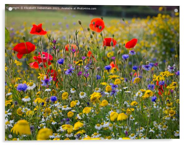 Chenies Wildflowers; Poppies, Cornflowers etc Acrylic by Elizabeth Debenham