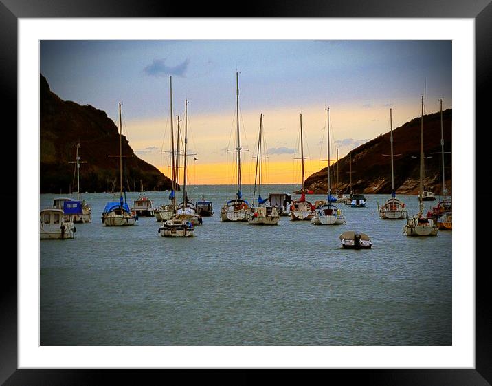 Watermouth Harbour at Dusk  Framed Mounted Print by graham young