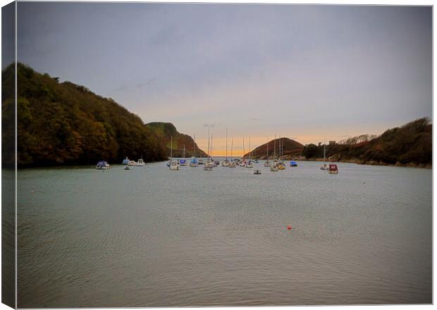 Watermouth Harbour in North Devon Canvas Print by graham young