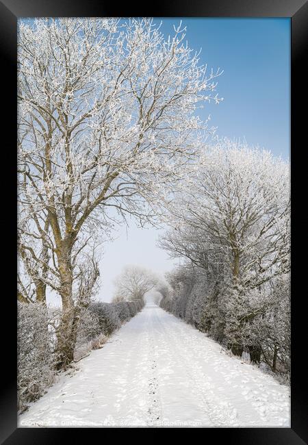 Snow Covered footpath (on disused railway) in the Scottish Borders Framed Print by Dave Collins