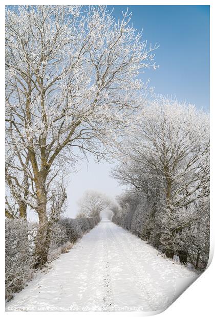 Snow Covered footpath (on disused railway) in the Scottish Borders Print by Dave Collins