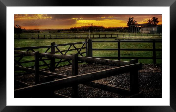 Serene Sunset Over Coveney Farm Framed Mounted Print by Jacqui Farrell