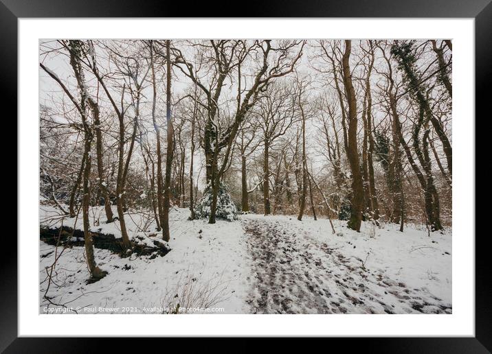 Thorncombe Woods in Winter Framed Mounted Print by Paul Brewer