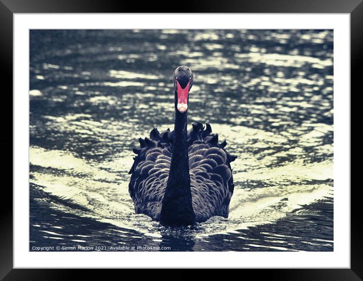 Graceful Beauty Framed Mounted Print by Simon Marlow
