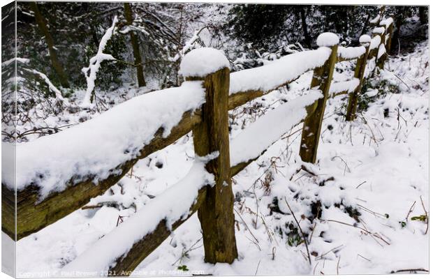 Thorncombe Woods fence line Canvas Print by Paul Brewer