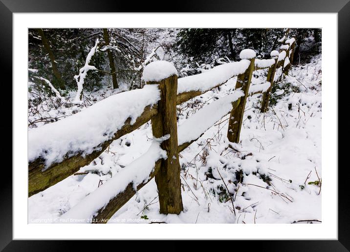 Thorncombe Woods fence line Framed Mounted Print by Paul Brewer