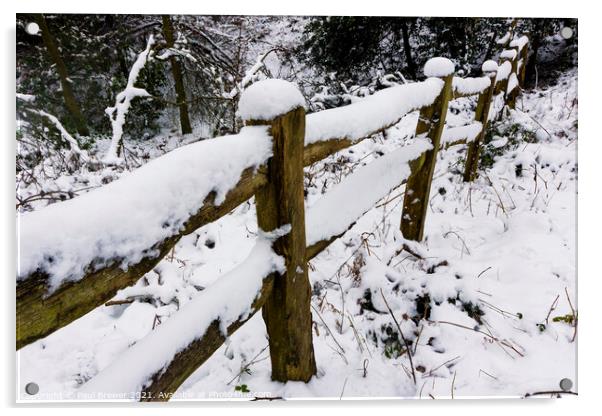 Thorncombe Woods fence line Acrylic by Paul Brewer