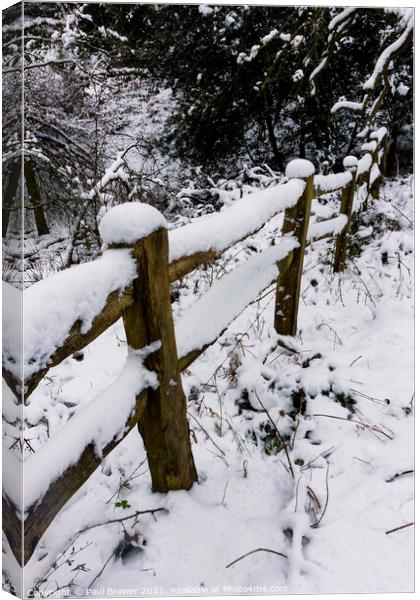 Thorncombe Woods fence line Canvas Print by Paul Brewer