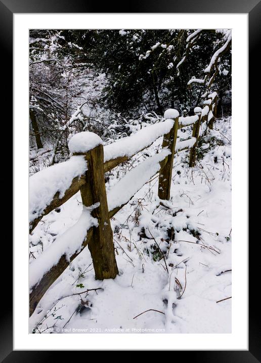Thorncombe Woods fence line Framed Mounted Print by Paul Brewer