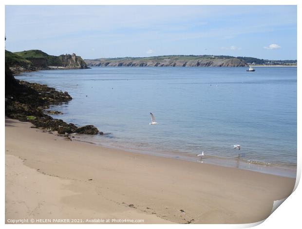 Beach at Caldy Island, Pembrokeshire Print by HELEN PARKER
