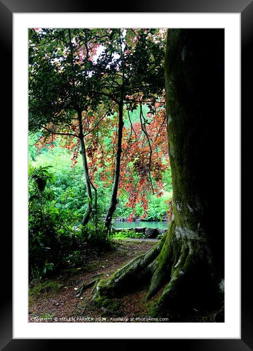 Craig y Nos Country Park Framed Mounted Print by HELEN PARKER