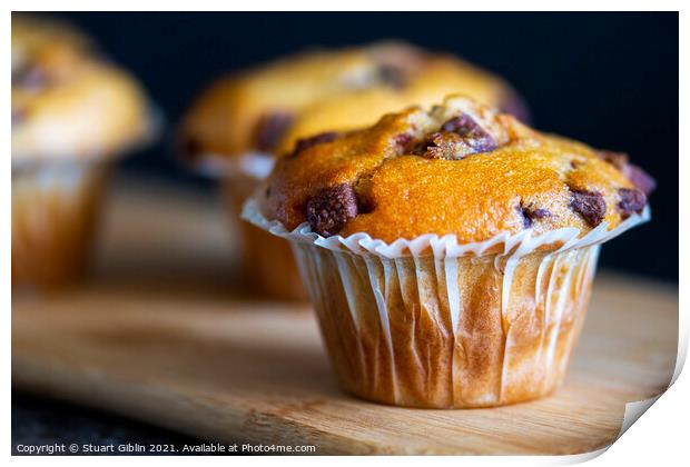 Freshly baked Chocolate Chip Muffins Print by Stuart Giblin