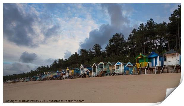 Colourful Beach Huts at Wells North Norfolk  Print by David Powley