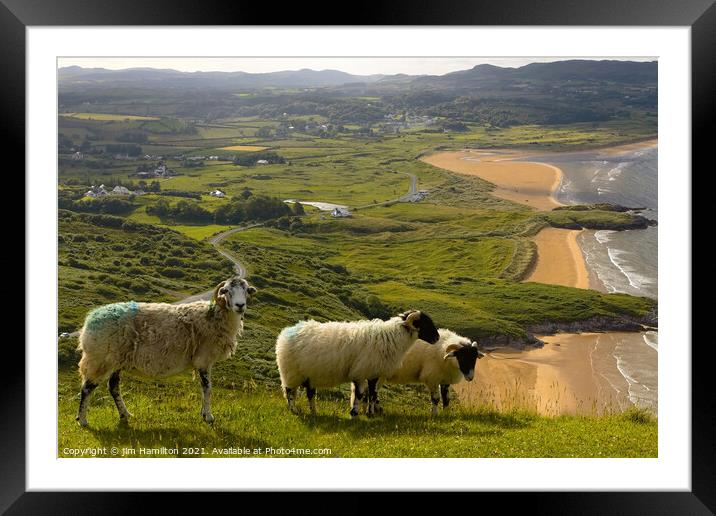 Hill farming in Ireland Framed Mounted Print by jim Hamilton