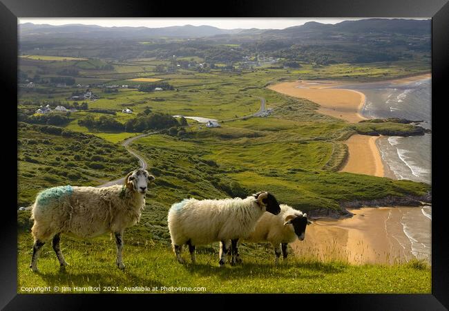 Hill farming in Ireland Framed Print by jim Hamilton