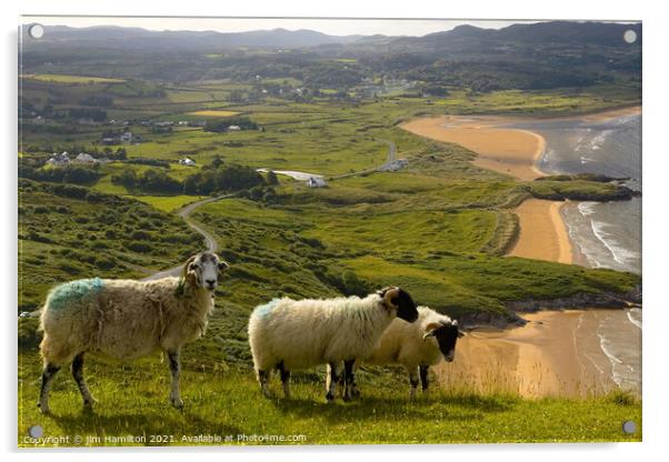 Hill farming in Ireland Acrylic by jim Hamilton