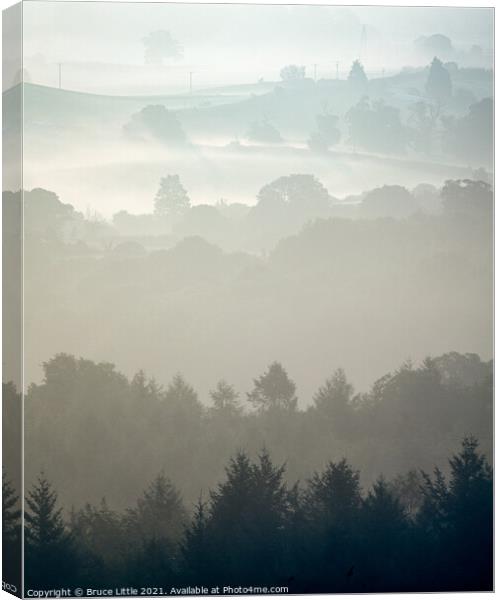 Misty View Canvas Print by Bruce Little