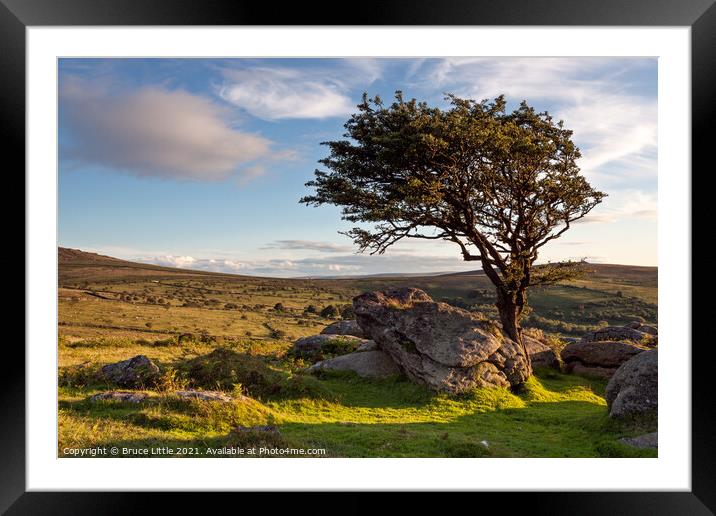 Emsworthy Rocks Tree Framed Mounted Print by Bruce Little