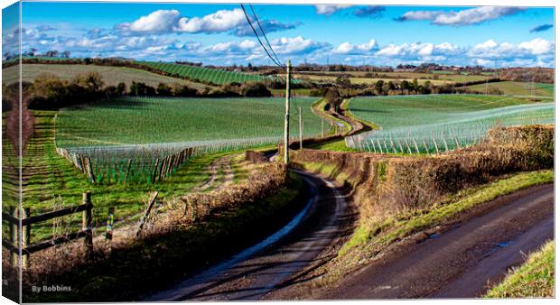 A Winding Road Canvas Print by robin whitehead