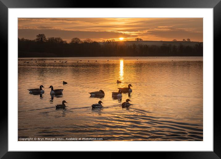 Cosmeston lake at sunset Framed Mounted Print by Bryn Morgan