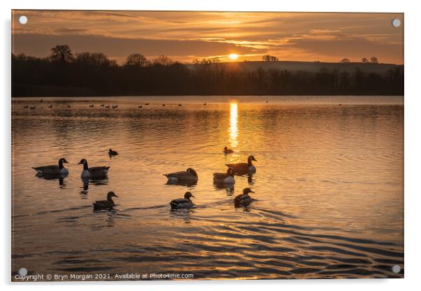 Cosmeston lake at sunset Acrylic by Bryn Morgan